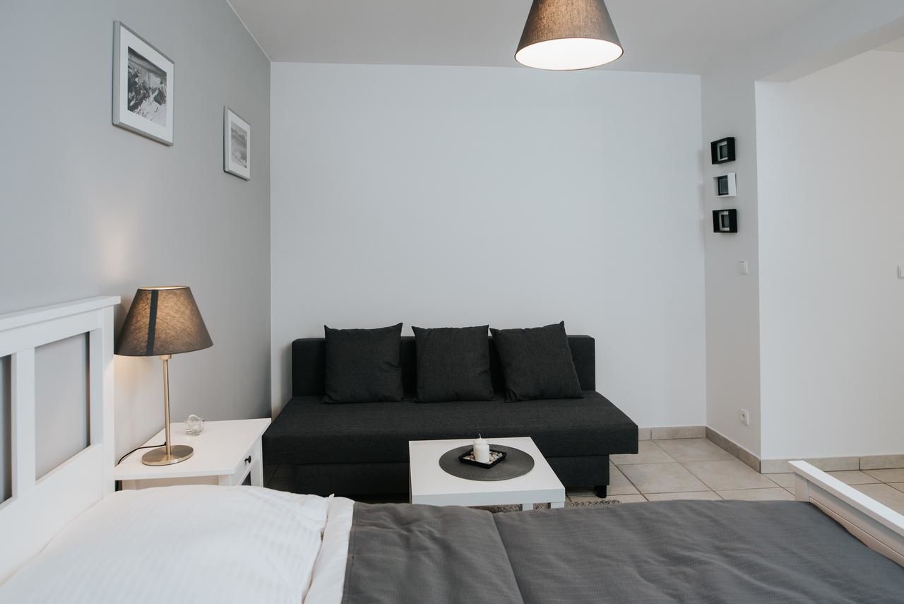 Апартаменты Apartamenty Niezapominajka Поронин-9